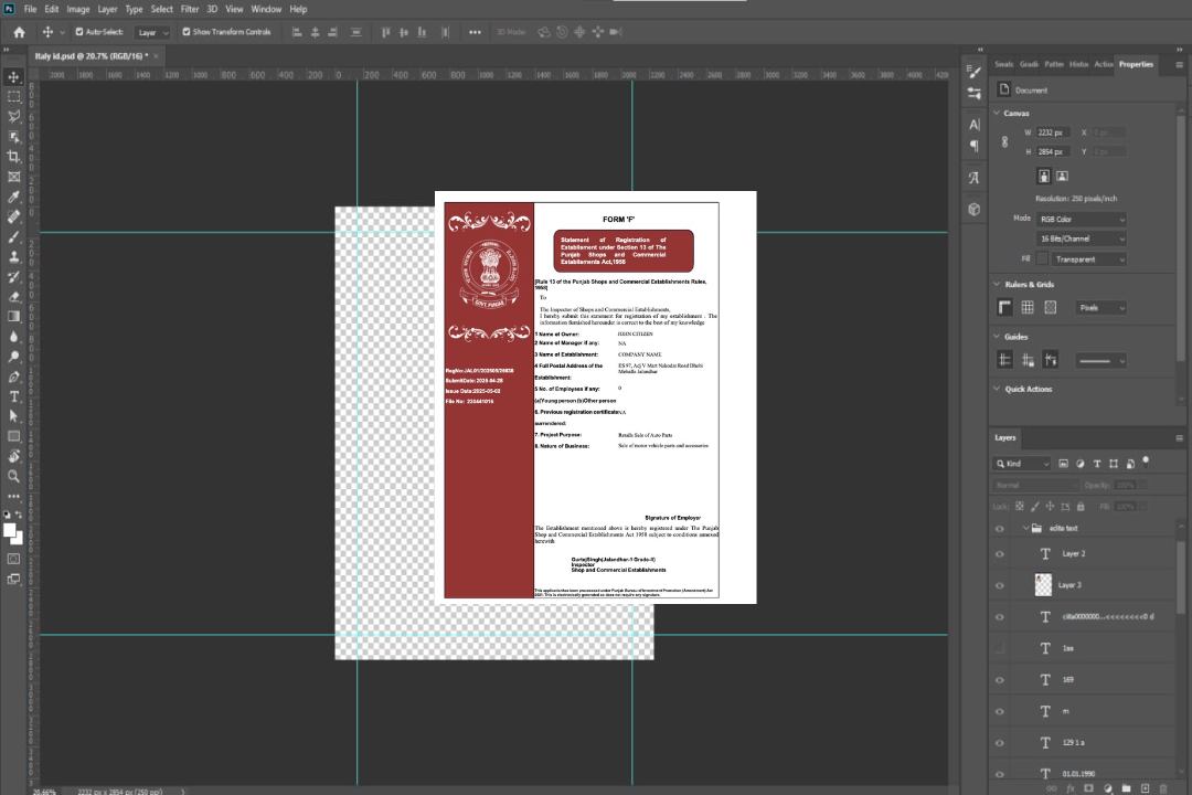 Modèle Word et PDF de certificat d'enregistrement du Pendjab en Inde, version 2 template